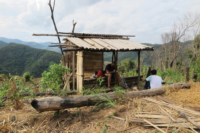 Hütte in einem Reisfeld, Laos