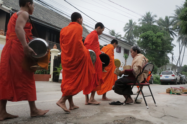 Monjes durante la entrega de limosnas, Luang Prabang, Laos
